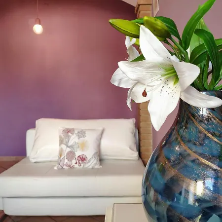 Apartment Your In Bonaria *